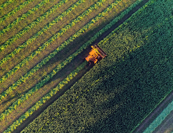 Oxbocrop Card